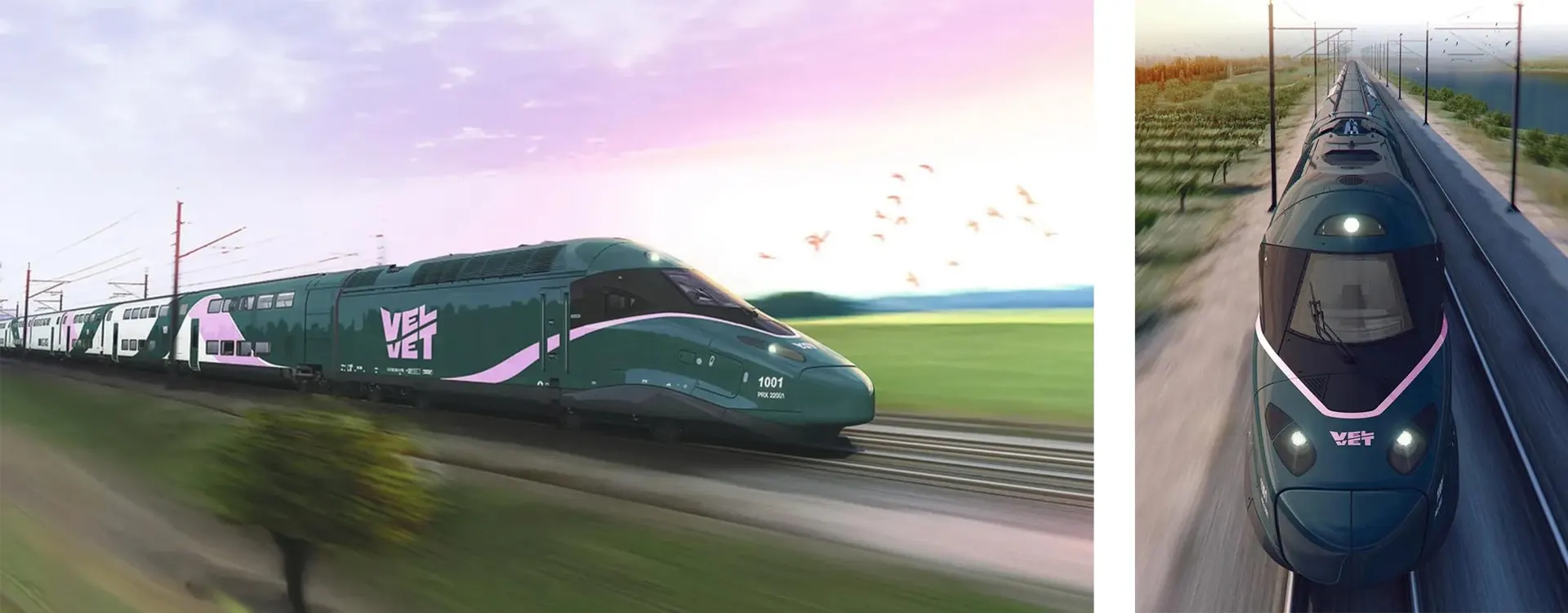 Rendus du train Velvet vert foncé à bandes roses lancé à pleine vitesse, de profil et de face