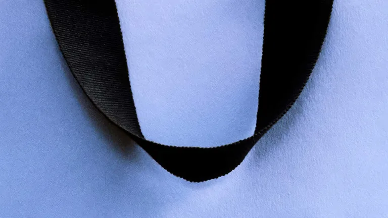 Lanvin : Un nouveau bleu iconique ?
